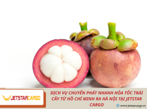Dịch Vụ Chuyển Phát Nhanh Hỏa Tốc Trái Cây Từ Hồ Chí Minh Ra Hà Nội Tại Jetstar Cargo