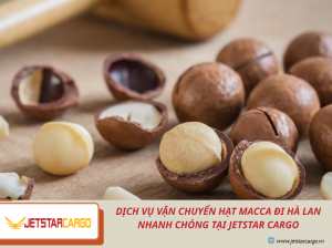 Dịch Vụ Vận Chuyển Hạt Macca Đi Hà Lan Nhanh Chóng Tại Jetstar Cargo
