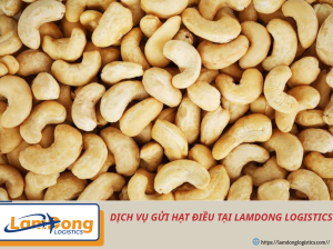 Dịch vụ vận tải hạt điều đường biển đi châu Âu an toàn và tiết kiệm cùng Lam Dong Logistics. Hỗ trợ đóng gói, thủ tục hải quan và vận chuyển quốc tế.